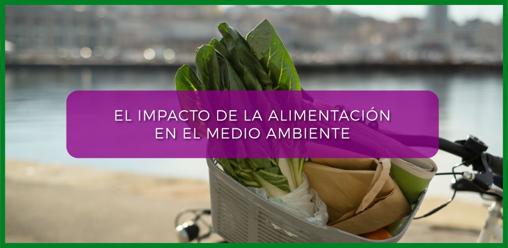 El impacto de la alimentación en el medio ambiente